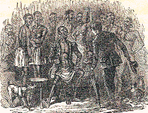 [Illustration]