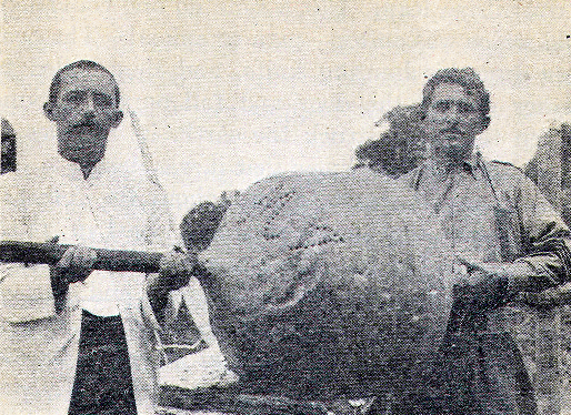 [Illustration] from Stories of South America by E. C. Brooks
