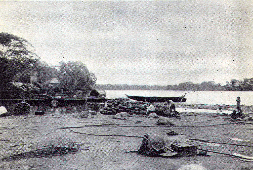 [Illustration] from Stories of South America by E. C. Brooks