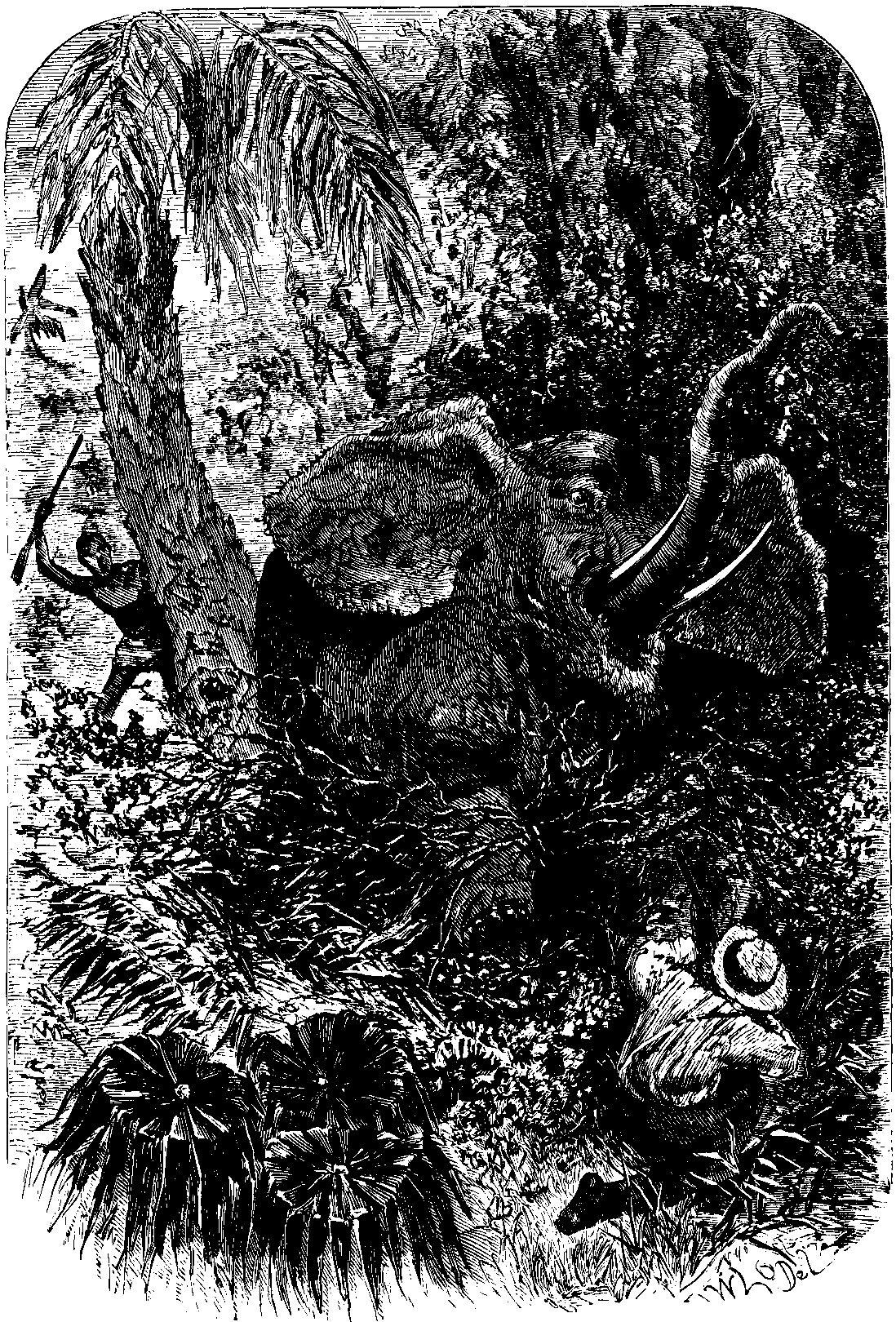 elephant