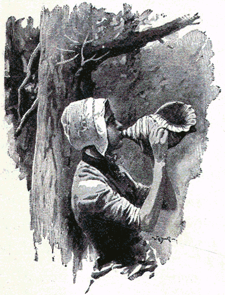 [Illustration] from American Life and Adventure by Edward Eggleston