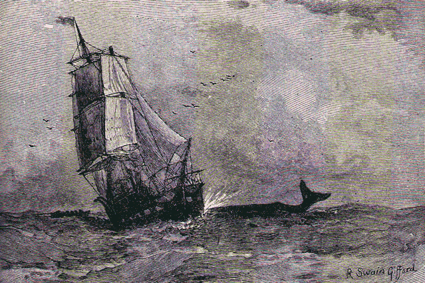 Whalers