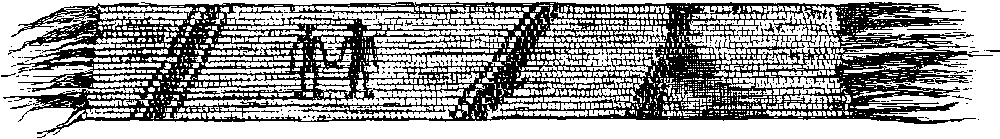 Wampum