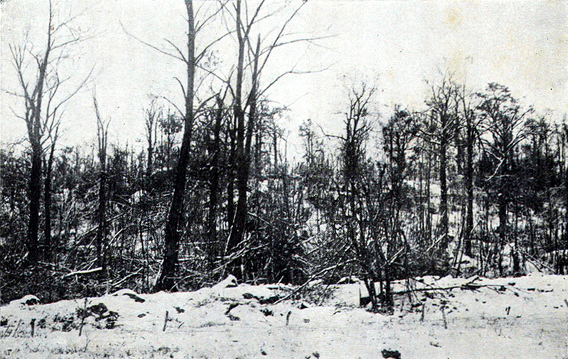 Belleau Woods