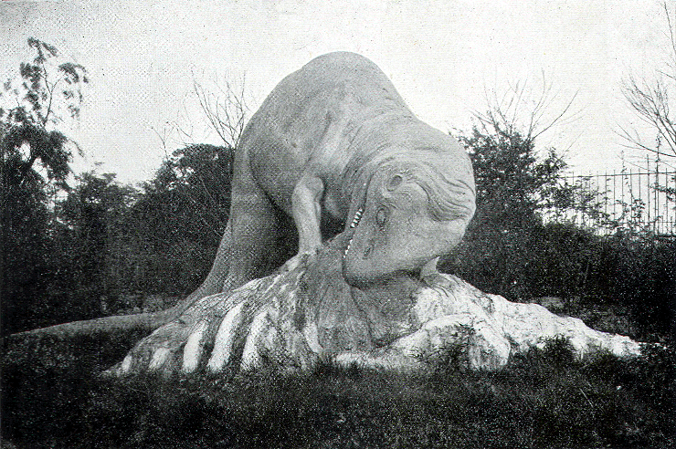 Allosaurus
