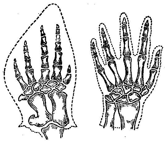 [Illustration] from Scientific Discoveries by Charles Gibson