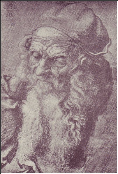 Head of an Old Man.