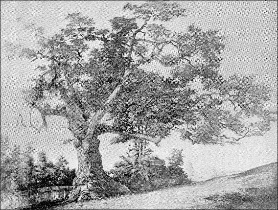 Charter Oak, Hartford