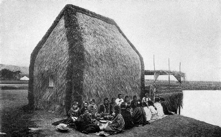 Native Polynesian Hut