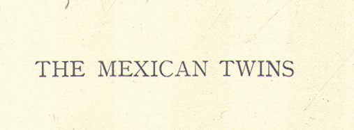 [title] from Mexican Twins by Lucy F. Perkins