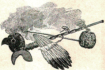 Pipes of Indians