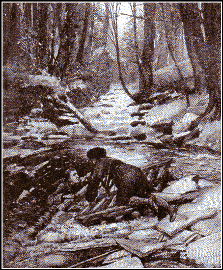 Washington in a river