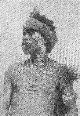 Australian Native