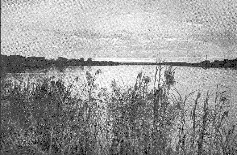 Zambesi River