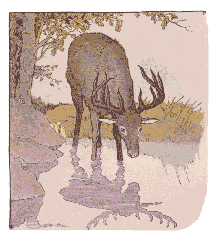 [Illustration] from Aesop for Children by Milo Winter